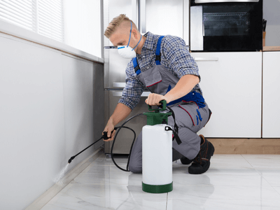 About Karachi Commercial  Home Fumigation - bed bugs treatment karachi experts in Karachi